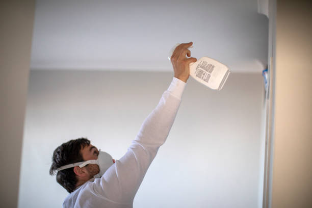 Mold Removal Process in Rosenhayn, NJ