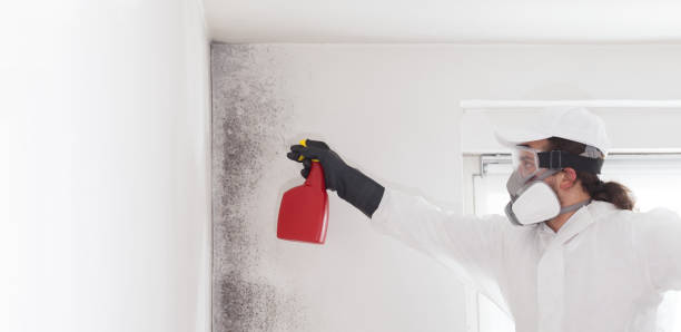 Best Crawl Space Mold Removal  in Rosenhayn, NJ